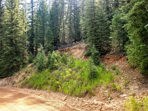 Duck Creek Village, UT 84762,770 N Skyline View DR
