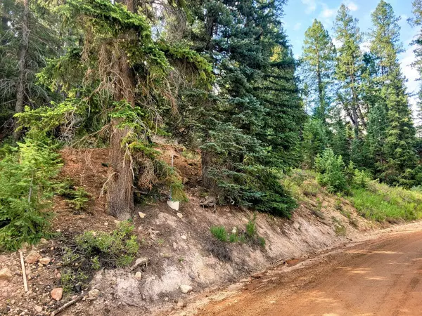Duck Creek Village, UT 84762,770 N Skyline View DR