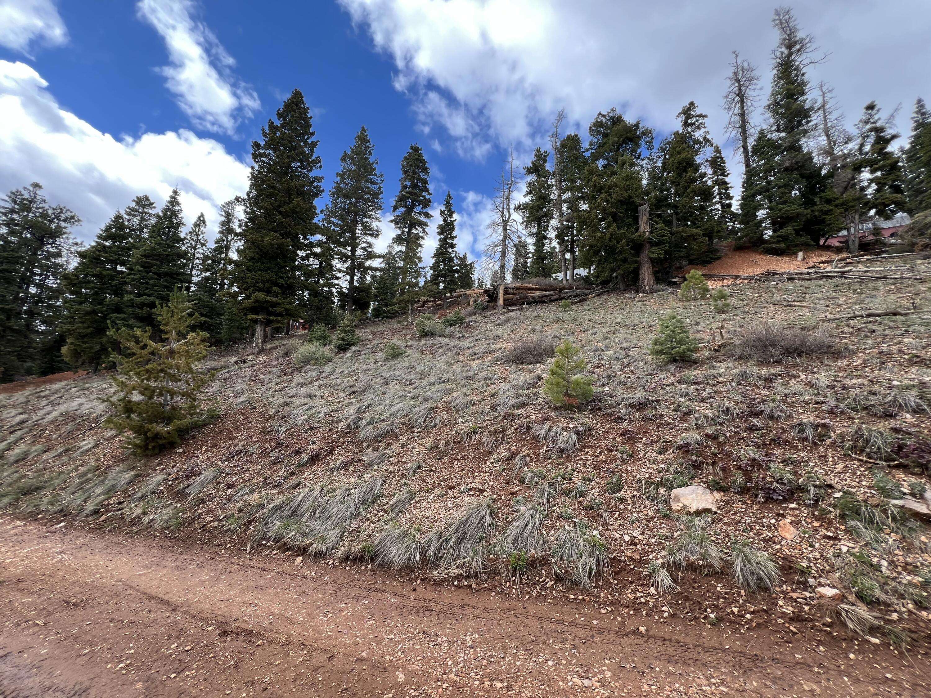 Duck Creek Village, UT 84762,6330 W PARK DR