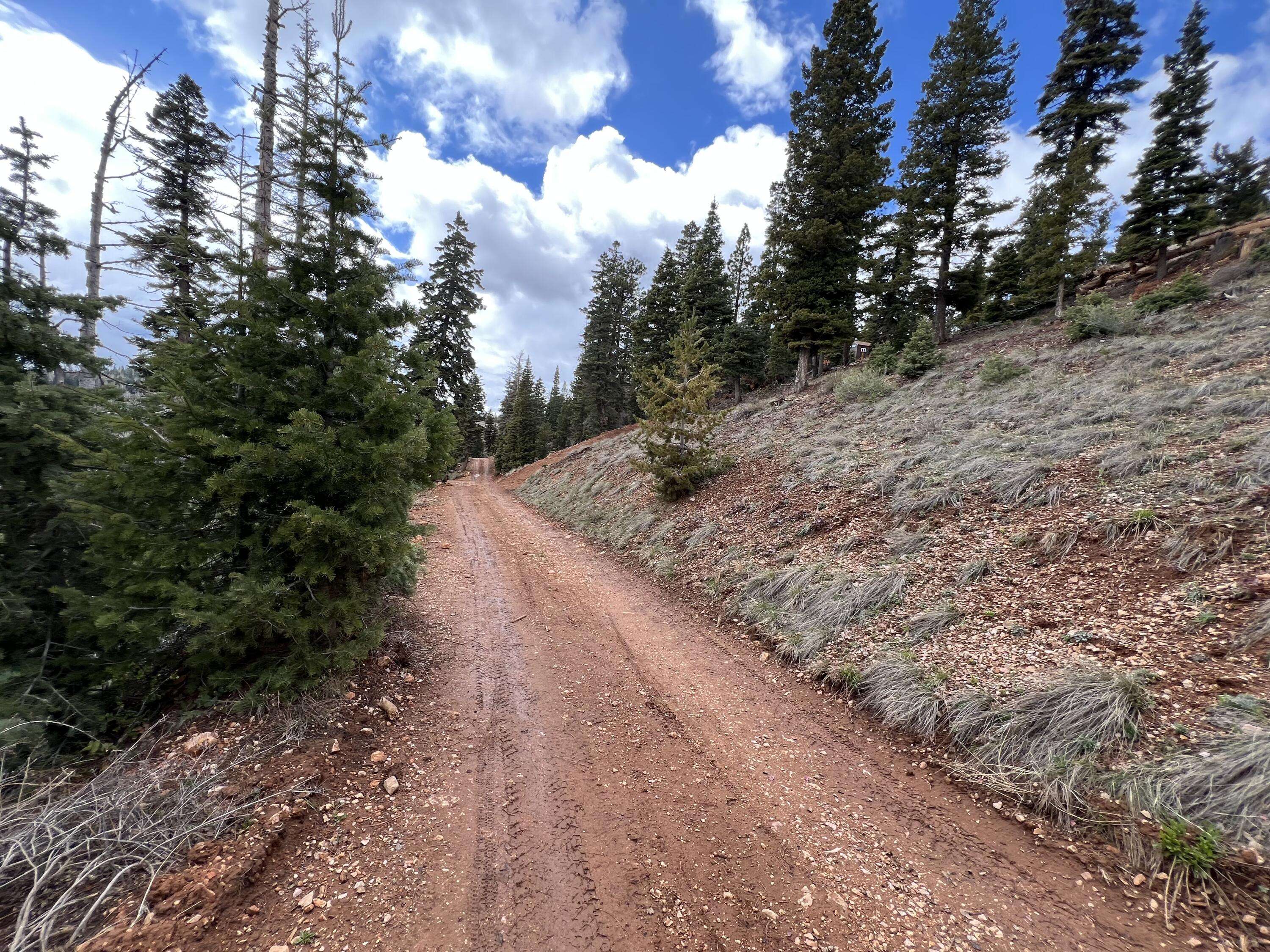 Duck Creek Village, UT 84762,6330 W PARK DR