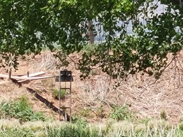 Cedar City, UT 84720,2582 S Westview DR #194 Acres 165 AF Water