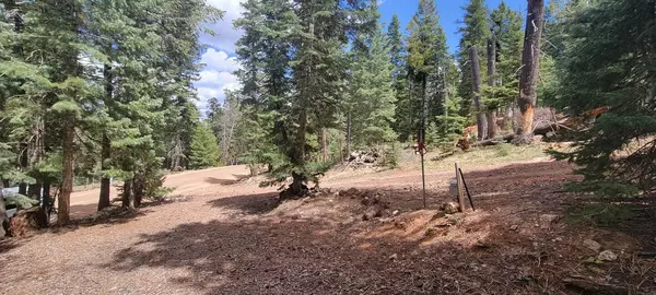 Duck Creek Village, UT 84762,1660 E Beech Craft DR