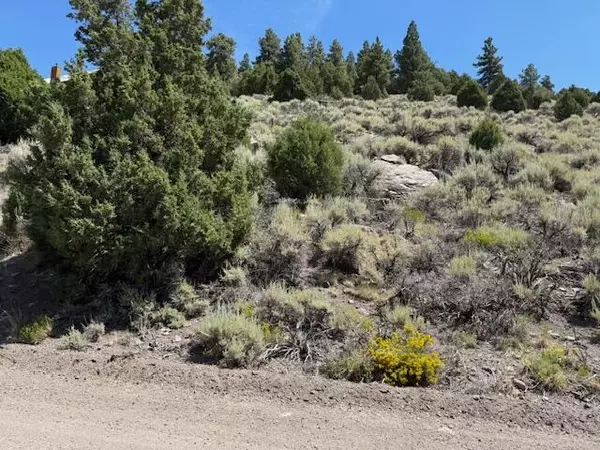 Panguitch, UT 84759,352 Meadow Lark DR #Lots 33 & 34