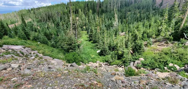 Brian Head, UT 84719,1079 E Kodiak DR