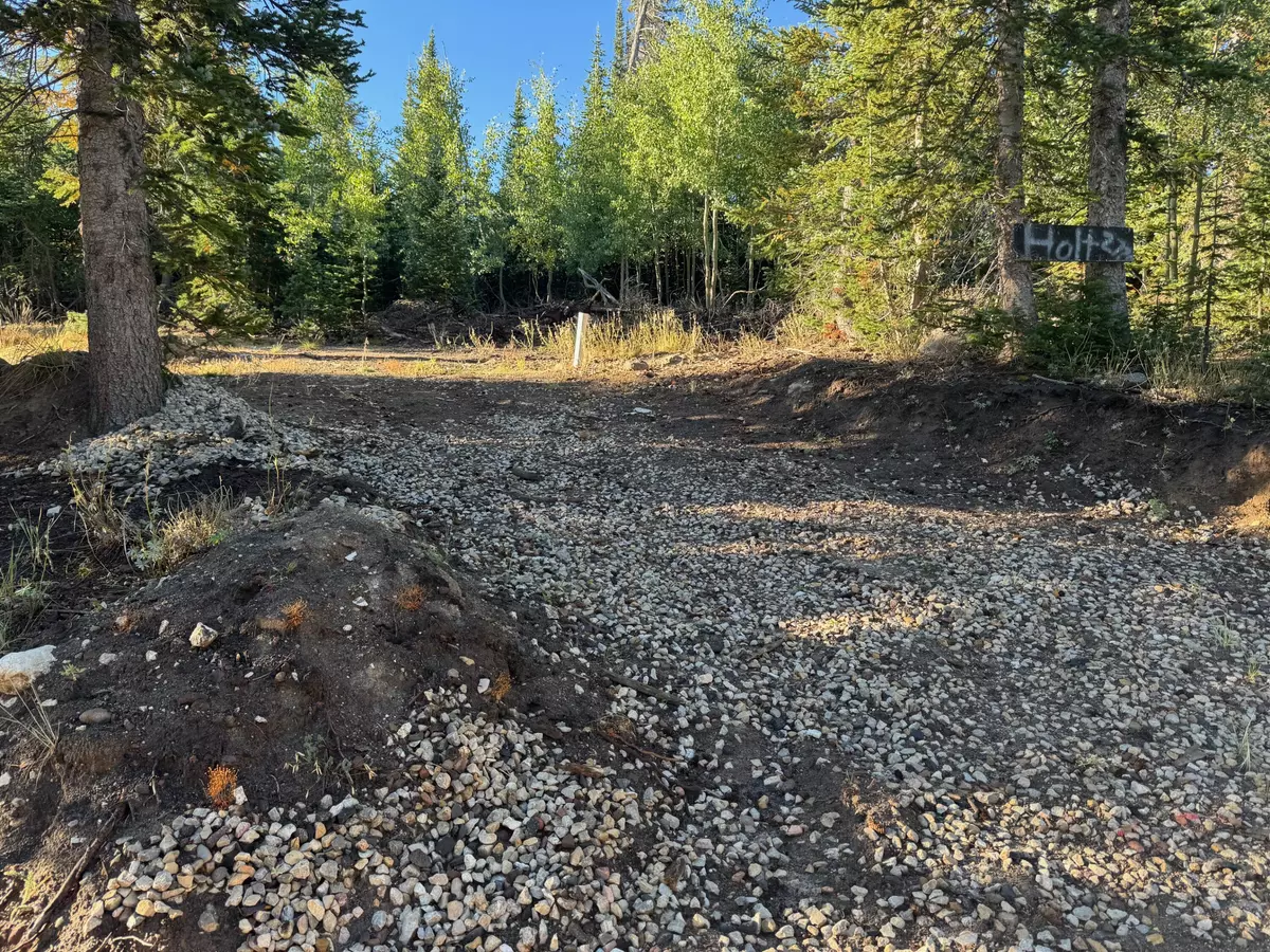 Brian Head, UT 84719,2770 E Sawmill #Meadow Lake Estate Blk E lot 3