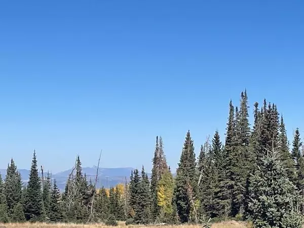 Brian Head, UT 84719,1015 E Autumn DR