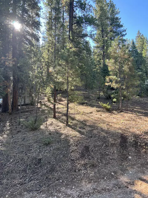 Mammoth Creek, UT 84735,73 W Creek LN