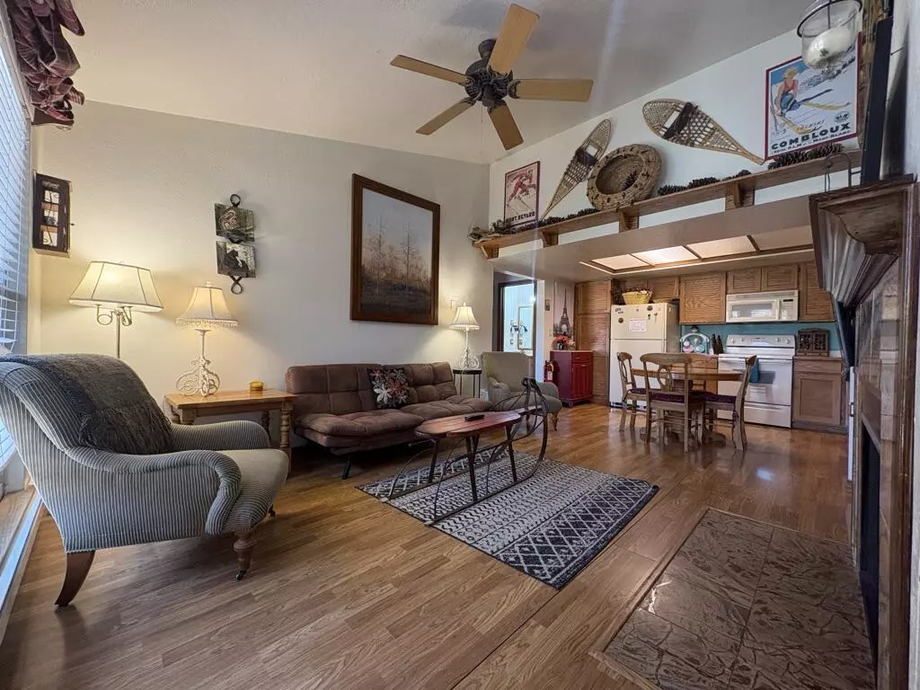 Brian Head, UT 84719,150 W Ridge View St #235