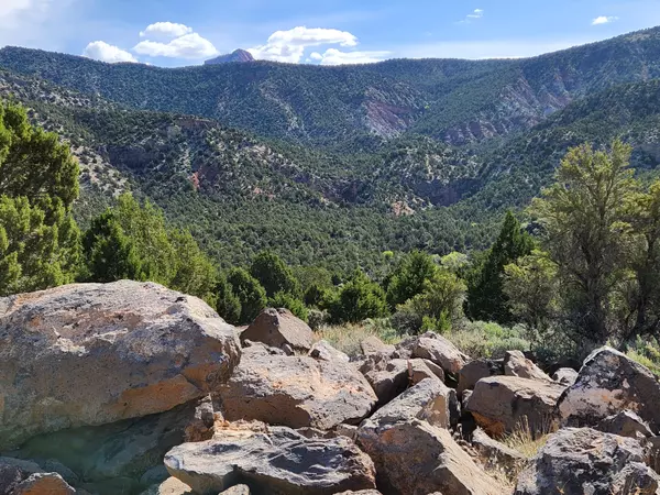 New Harmony, UT 84757,3747 S Old Hwy 91 #Lot 294