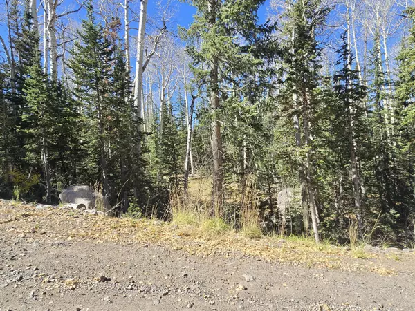 Brian Head, UT 84719,349 N Scenic DR