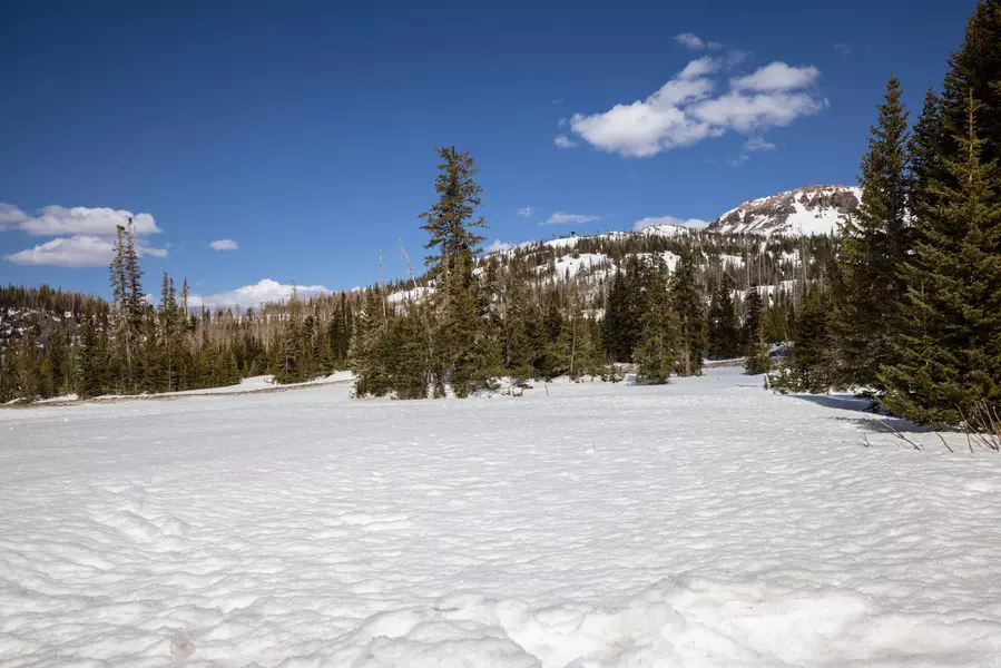 167 Zion View Dr. lot 2 #lot 2, Brian Head, UT 84719