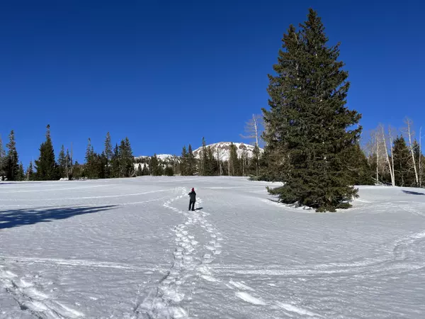 Brian Head, UT 84719,167 Zion View Dr. lot 2 #lot 2