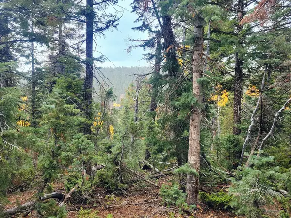 Duck Creek Village, UT 84762,45 S Quakie PL