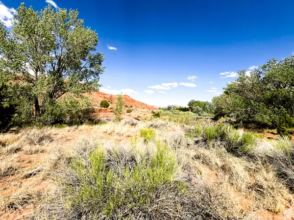 Torrey, UT 84775,Parcel #02-0012-0689