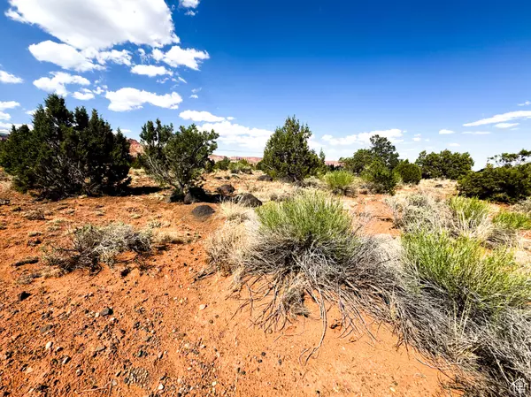 Torrey, UT 84775,Parcel #02-0012-0689