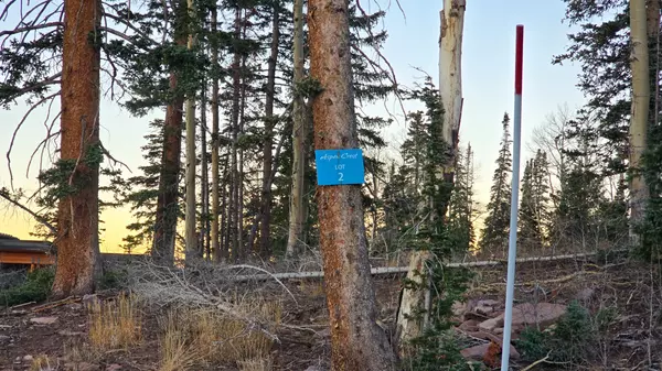 Beaver, UT 84713,N Summit DR #Lot 2