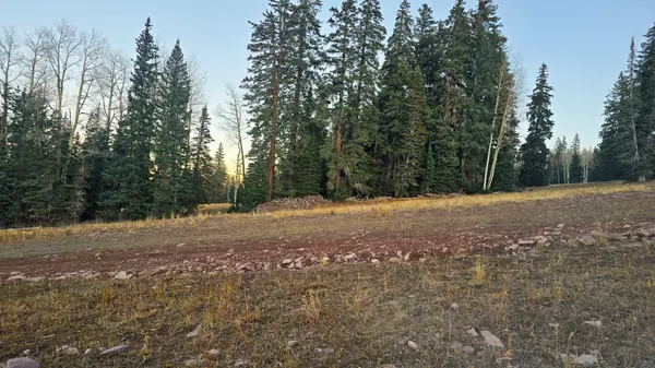 Beaver, UT 84713,N Summit DR #Lot 2