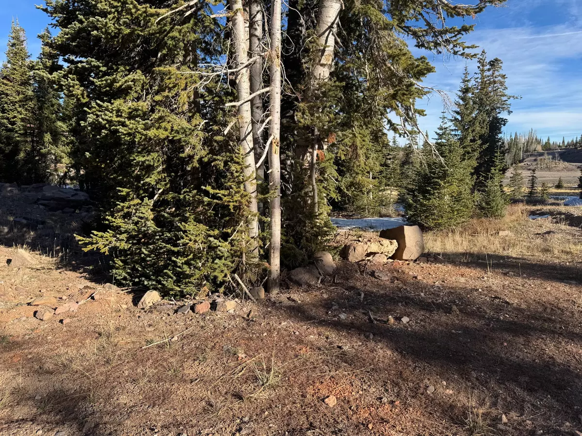 Brian Head, UT 84719,Ridge Top Rd. #CBMHS unit B blk A lot 9
