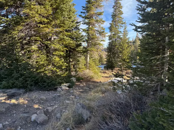 Brian Head, UT 84719,Ridge Top Rd. #CBMHS unit B blk A lot 9