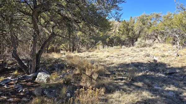 Panguitch Lake, UT 84759,386 N Elk DR