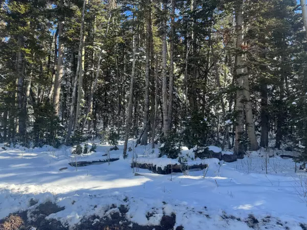 Brian Head, UT 84719,Falcon Ct #CBME unit c lots 68 and  69