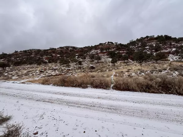 Paragonah, UT 84760,1462 N Foothill DR