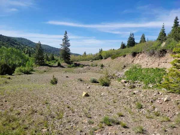 Brian Head, UT 84719,Braffits Creek Lot 61&62