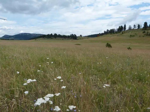 Buffalo, WY 82834,Lot 1 Billy Creek Access Rd