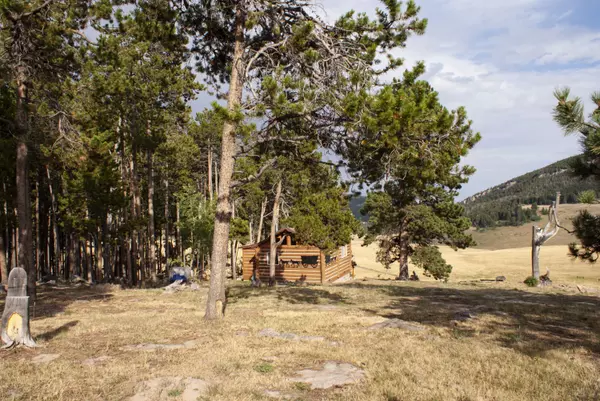 Buffalo, WY 82834,402 Poison Creek Canyon RD