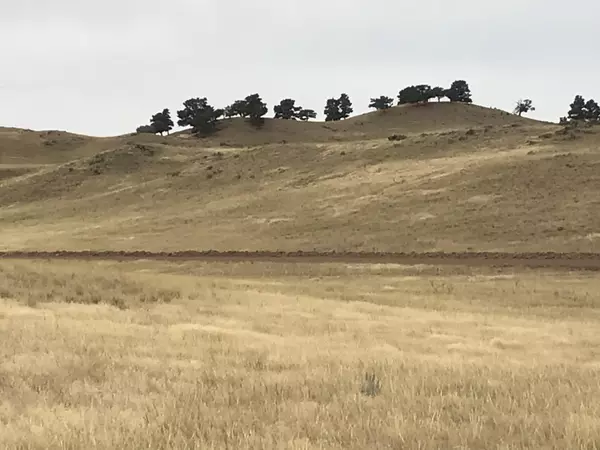 Buffalo, WY 82834,Lot 19 TW