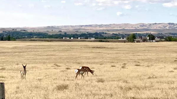 Buffalo, WY 82834,30 Gunderman