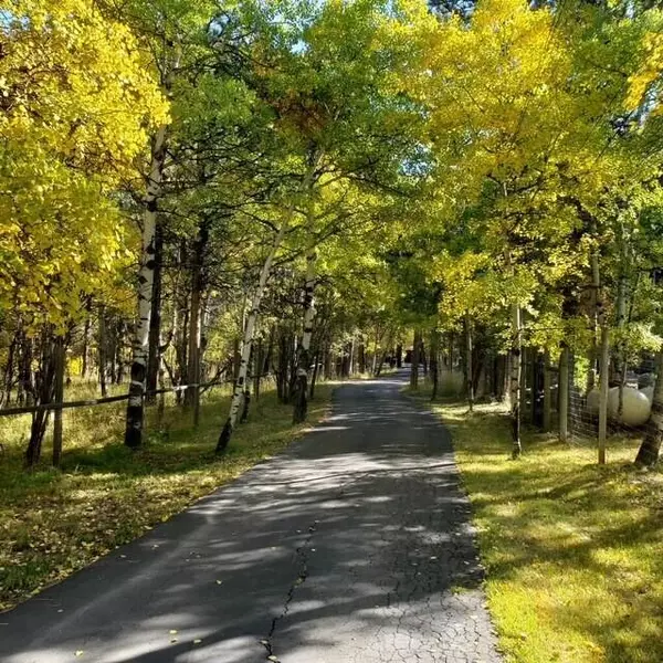 Story, WY 82842,9 Loucks ST