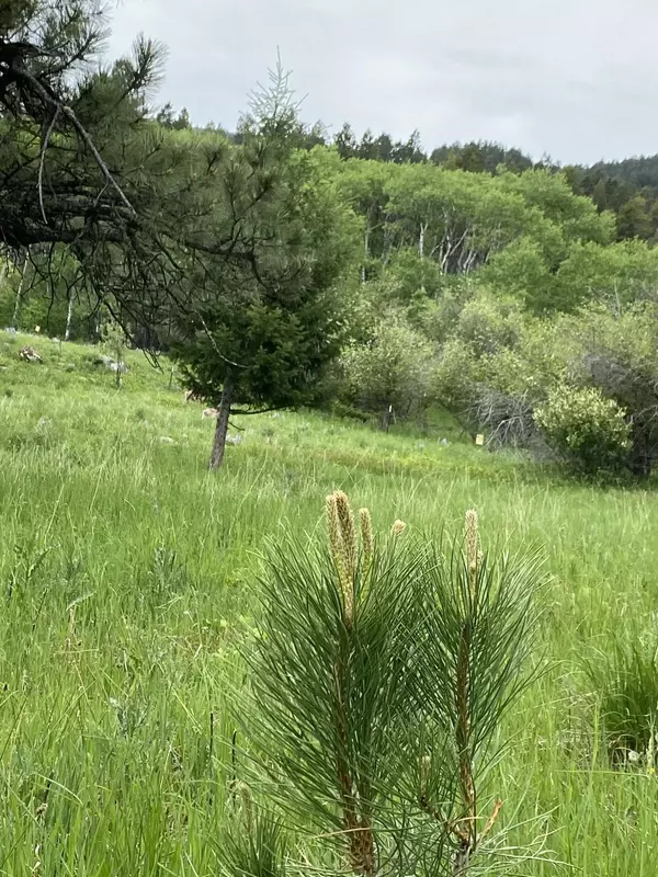Story, WY 82842,1 TBD