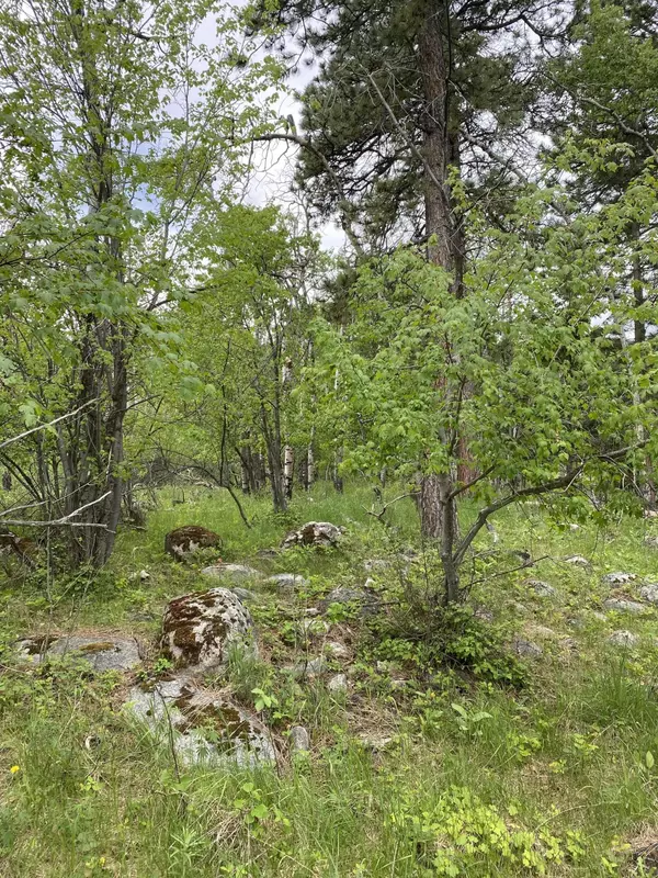 Story, WY 82842,1 TBD