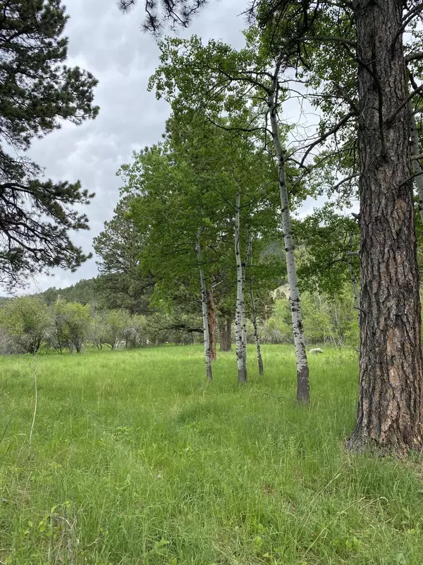Story, WY 82842,1 TBD