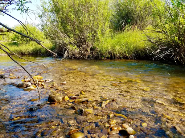 Big Piney, WY 83113,342 S Piney RD