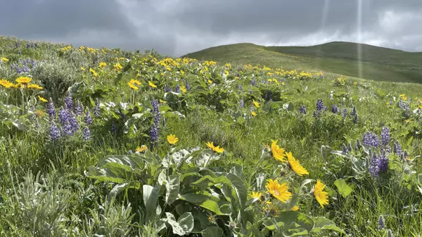 Banner, WY 82832,TBD US HWY 87