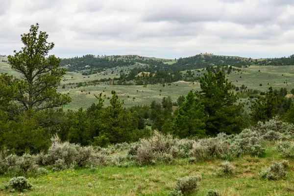 Recluse, WY 82725,TBD Bitter Creek RD