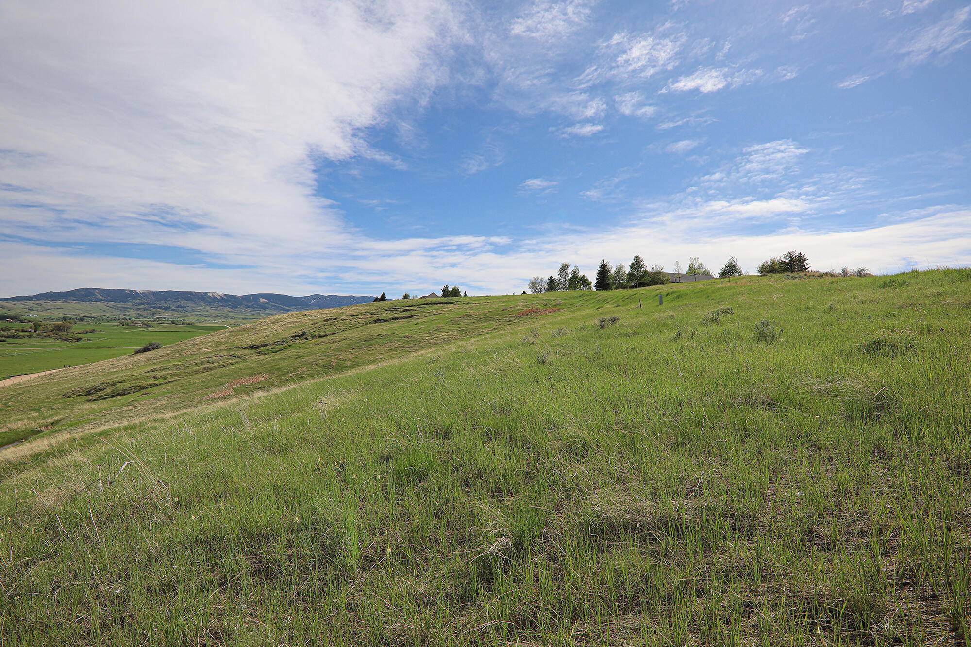 Sheridan, WY 82801,Tract 3&4 Mallard RD