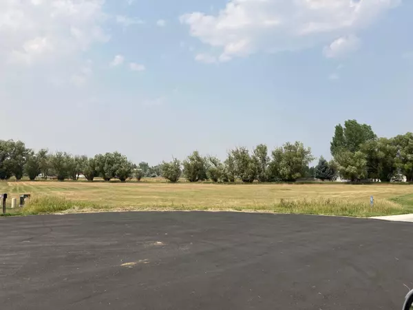 Sheridan, WY 82801,Lot 5 Goose Meadows RD