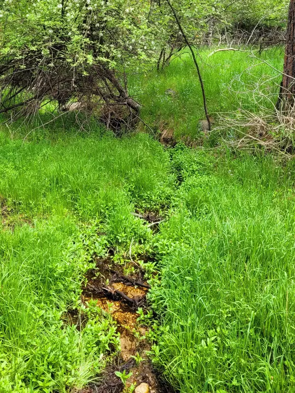 Story, WY 82842,87 Fish Hatchery RD