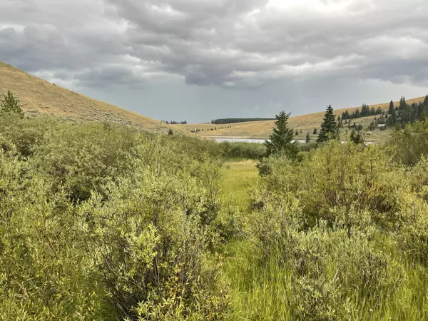 Buffalo, WY 82834,TBD Cash Lane