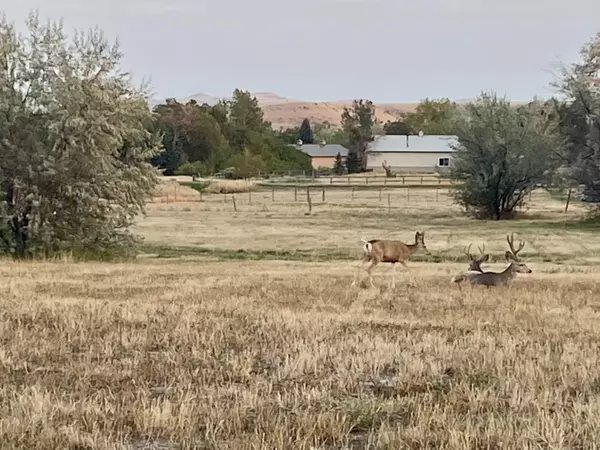 Sheridan, WY 82801,153 SaddleCrest DR