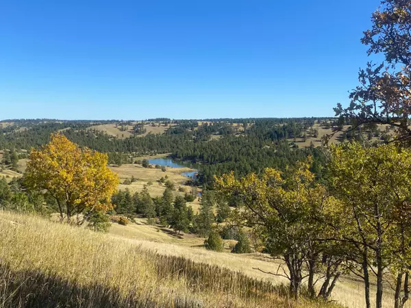 Hulett, WY 82720,100 Mule Creek RD