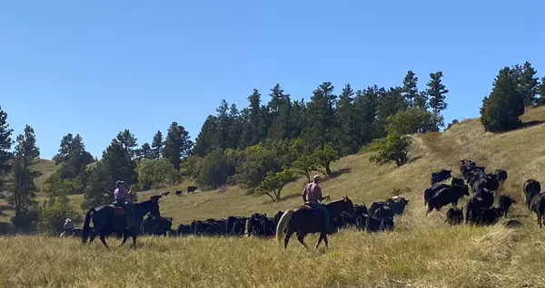 Hulett, WY 82720,100 Mule Creek RD