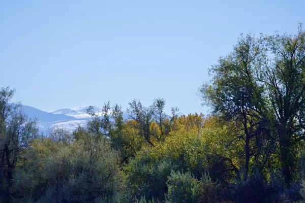 Sheridan, WY 82801,588 Swan Drift Court