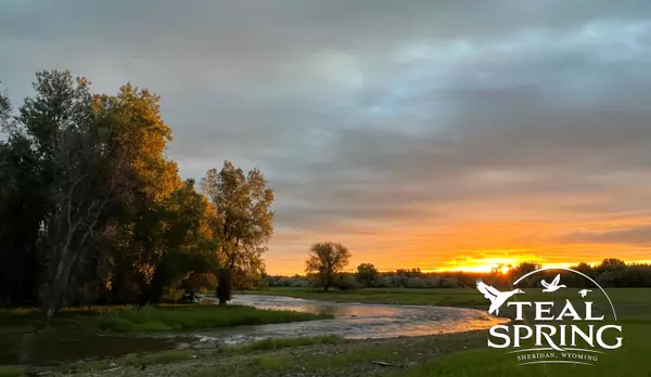 Sheridan, WY 82801,Lot 20 Swan Drift Court