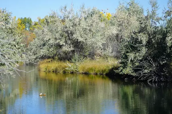 Sheridan, WY 82801,Lot 11 Wetlands DR