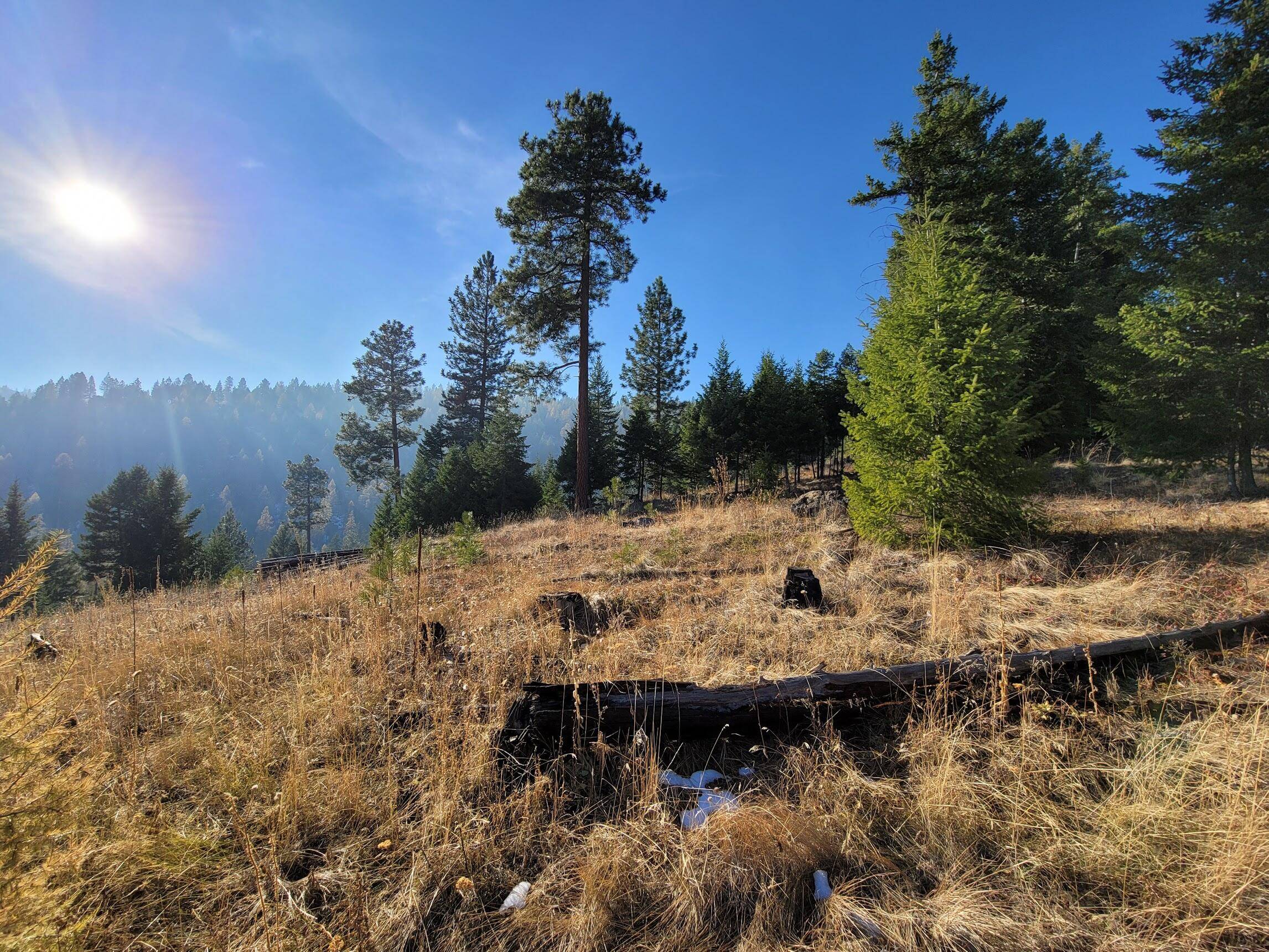 Kalispell, MT 59901,TBD Patrick Creek RD