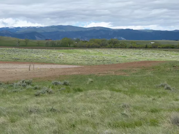 Buffalo, WY 82834,LOT 10 Peak View LN